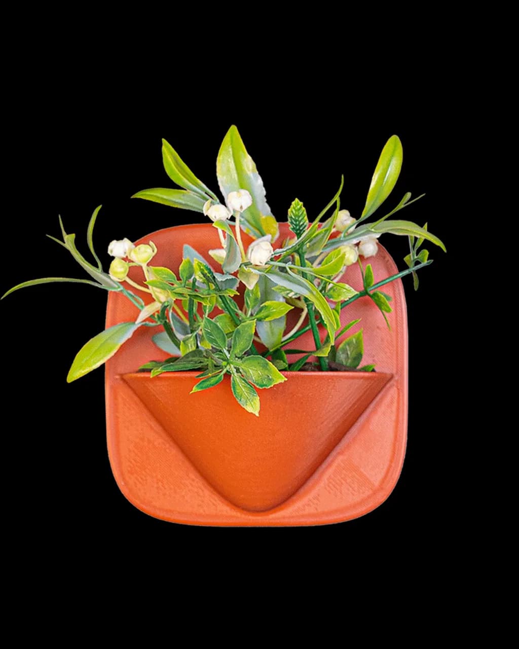 Vasinho Modwall — foto 1