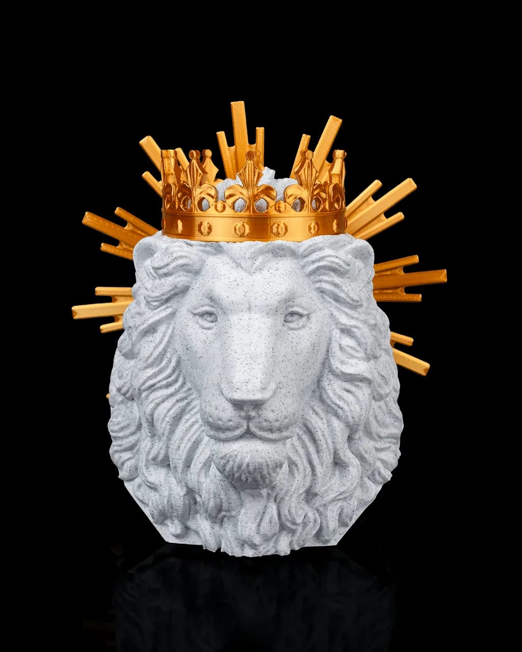 Decoração de Parede Lion of Judah — foto 1
